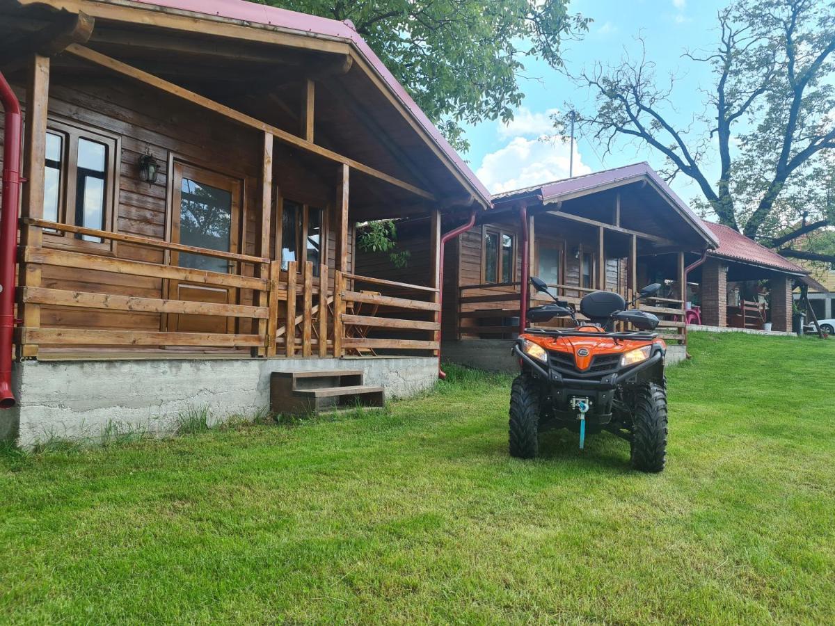 Cabanutele Din Lemn Villa Chiscau Exteriör bild