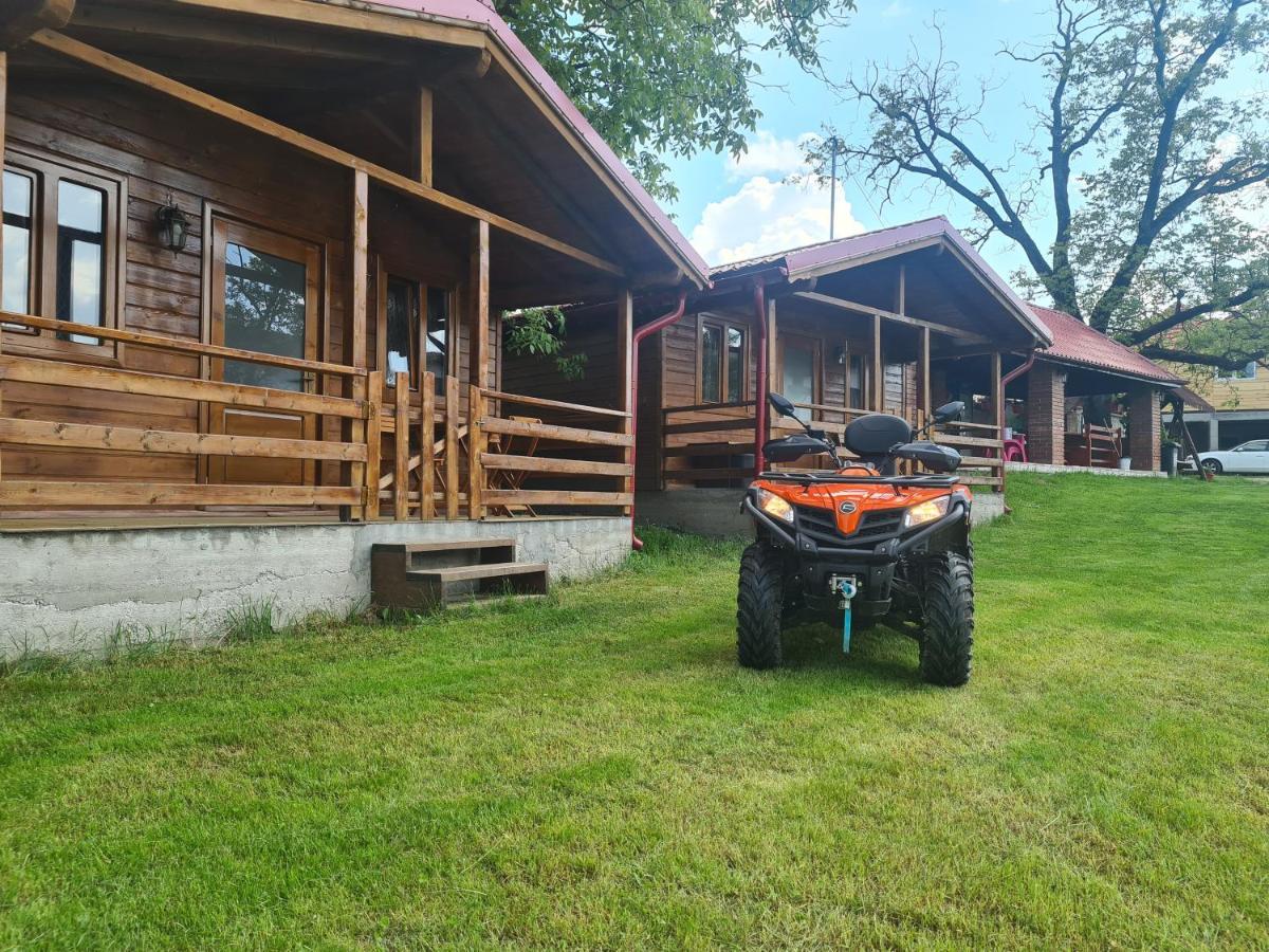 Cabanutele Din Lemn Villa Chiscau Exteriör bild