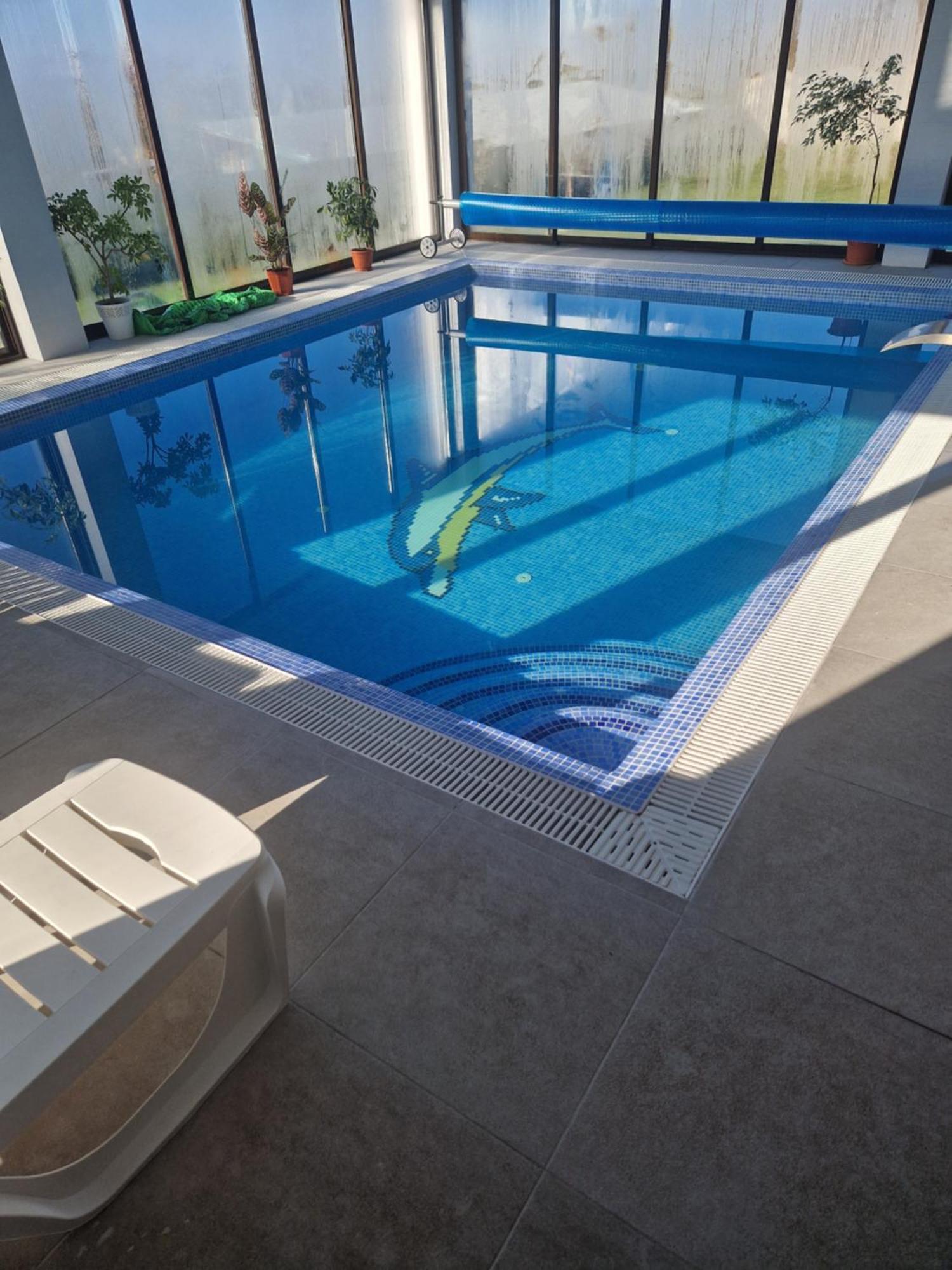 Cabanutele Din Lemn Villa Chiscau Exteriör bild