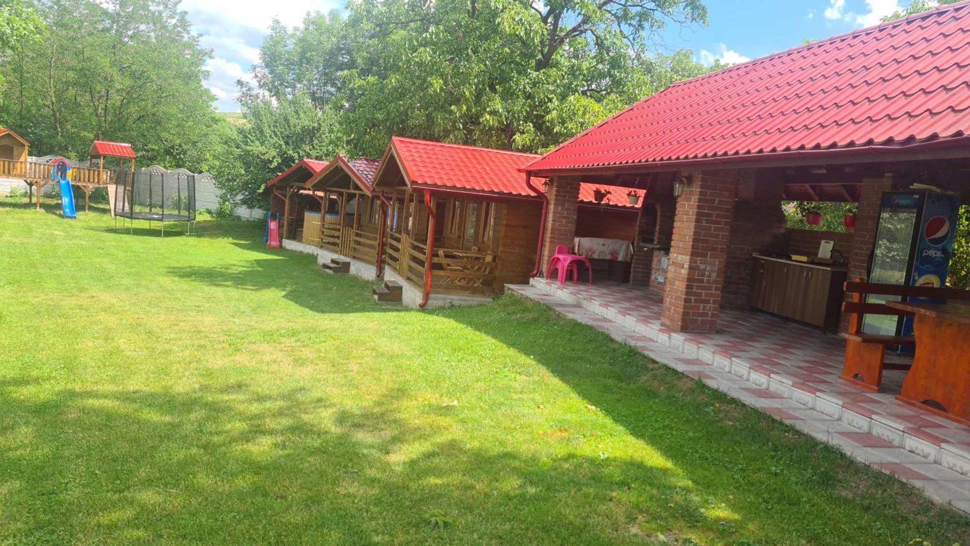 Cabanutele Din Lemn Villa Chiscau Exteriör bild