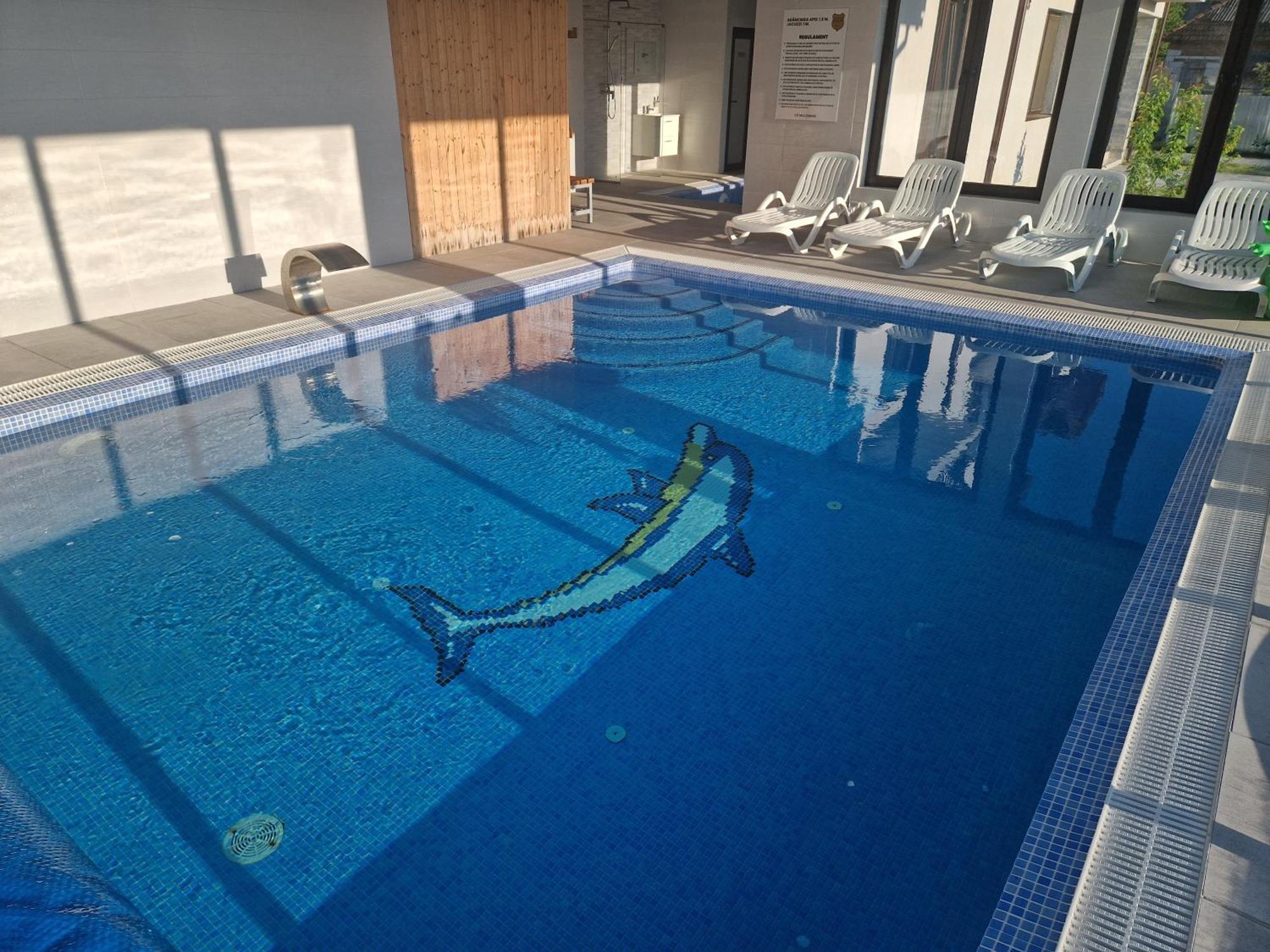 Cabanutele Din Lemn Villa Chiscau Exteriör bild